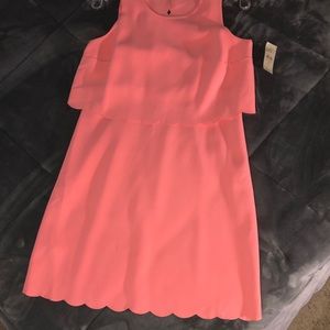 Ann Taylor LOFT dress